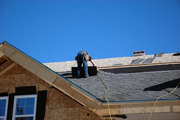 Best Roof Gutter Cleaning  in Hamilton, TX